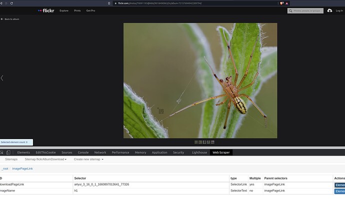 Screenshot from 2022-08-19 15-42-25